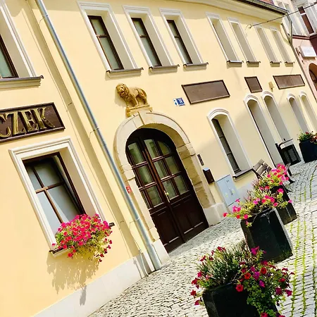 Apartment W Centrum ,,pod Zlotym Lwem